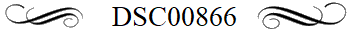 DSC00866