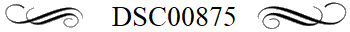 DSC00875